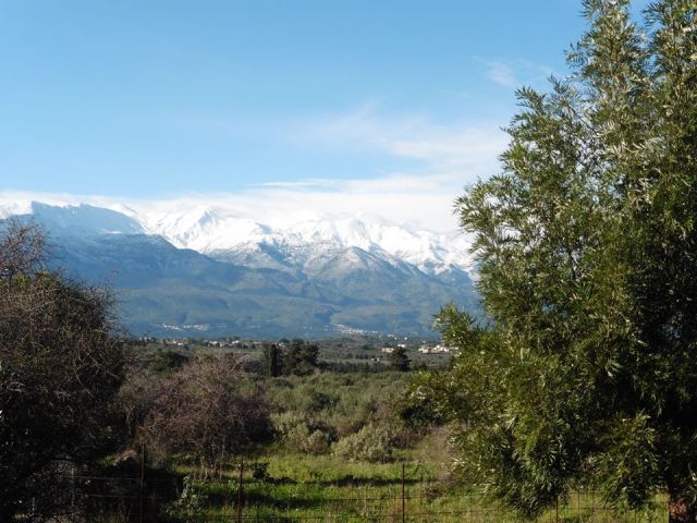 View from St Thomas's