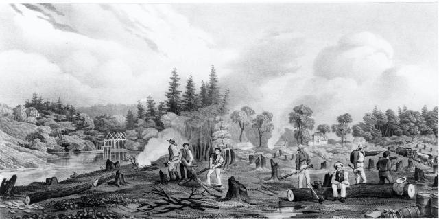 Clearing_Stanley_lg Parson